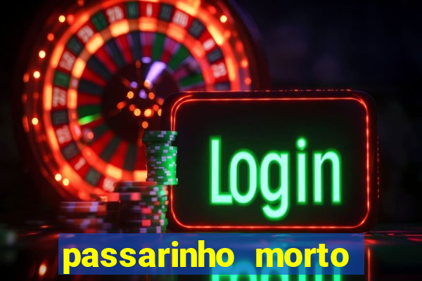 passarinho morto significado espiritual